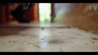 Forget everything I said and listen to ecologist Rob Dunn, - The History of Home Narrated by Nick Offerman