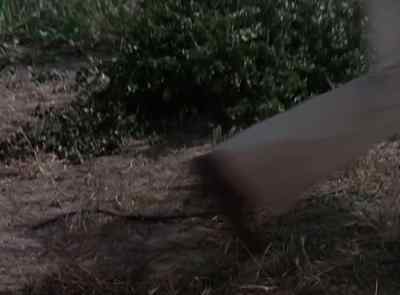 Forgive me.
I meant no offense. - The Six Million Dollar Man