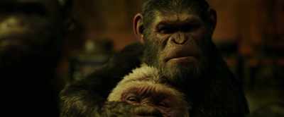 Forgive me! - War for the Planet of the Apes