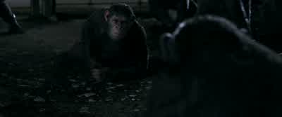 Lake... Forgive them. We've been through much. - War for the Planet of the Apes