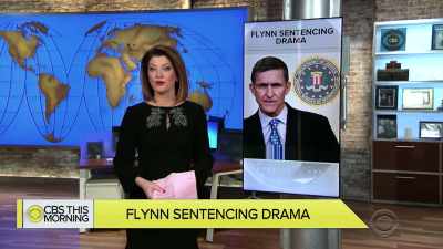 - Former National Security
advisor, Michael Flynn - The Plot Against the President