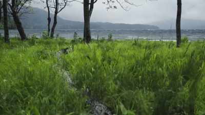 Fortunately, in the spring,
winds sweep across the lake... - The Green Planet