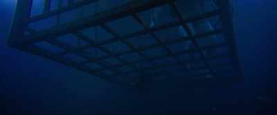 Forty-five - 47 Meters Down
