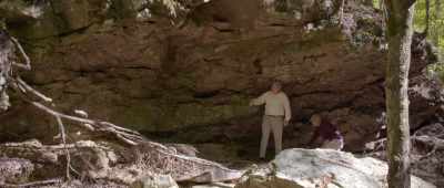 ... fossil evidence showing me forests, - Is Genesis History?