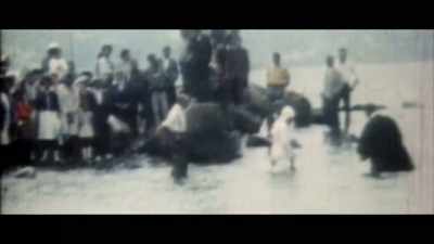 (foster): A very strong motif
among black religiosity, - Black Life: Untold Stories