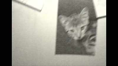 Found footage, I mean, - Butterfly Kisses