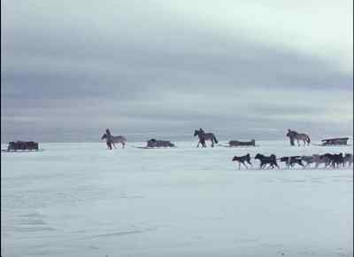 'Four days out, all ponies going well.' - Scott of the Antarctic
