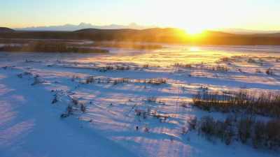 Four days to survive
the below-zero weather - Life Below Zero: Next Generation