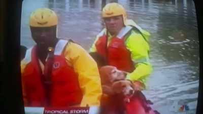 - Four downed power lines
in Babylon - Cooked: Survival by Zip Code