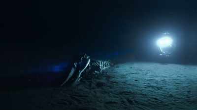 Four months later,
there is nothing left but a few bones. - Blue Planet II