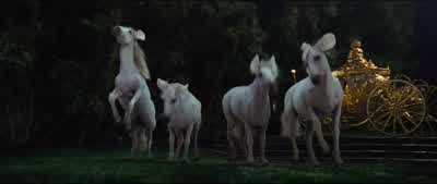 Four white chargers. - Cinderella