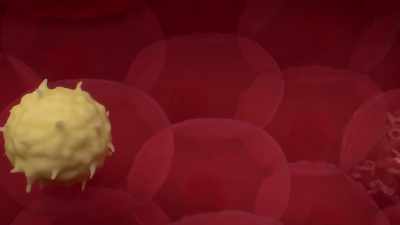 Fourteen days later,
my blood sample tested negative. - Human: The World Within