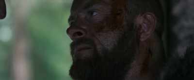 FOX: All those scholars
are still debating - The Lost Viking