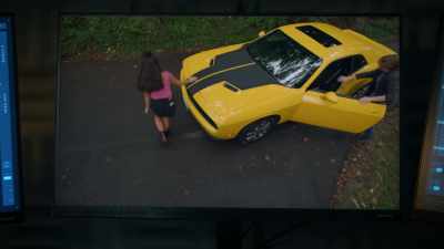 Fox Cub One
is apparently getting a ride - True Lies