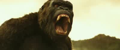 Fox Five, this is Fox Leader. - Kong: Skull Island