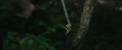FOX: Leszek takes me to
the rare-artifacts section, - The Lost Viking