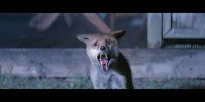 [fox screaming] - Nightmare Radio: The Night Stalker