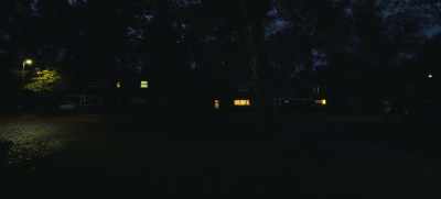 [fox shrieking] - The Strays
