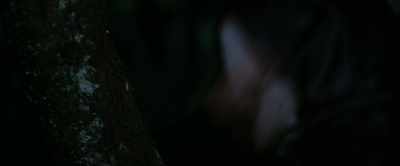 FOX: So, were these
two Viking women, - The Lost Viking