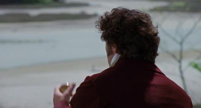 Frailty thy name is Brandon - Sense and Sensibility