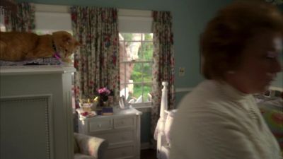 Fran, you all right? - House