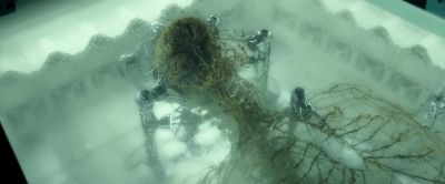 Fran These are from real corpses - Spectral