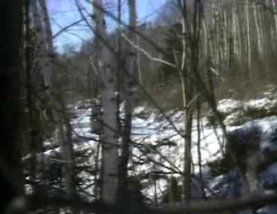 FRANCE
JANUARY 1945 - The Execution of Private Slovik
