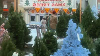 Alex... Getting close to Christmas. You'll get stuck with a lot of trees again. I thought I'd see yo - Gremlins