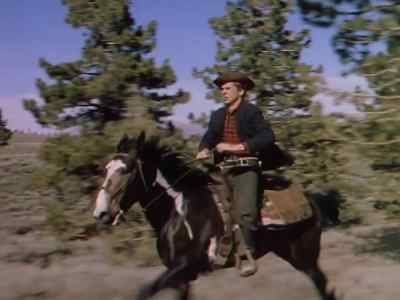 Frank! Frank! - The Return of Frank James