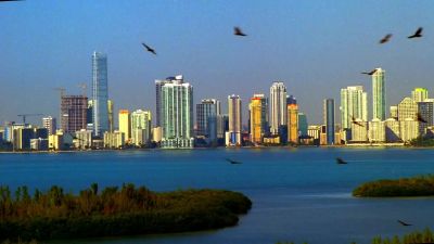 Frank, have you
talked to ICE yet? - CSI: Miami