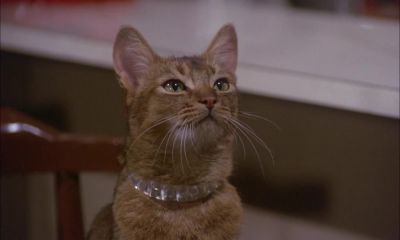 Frank on my planet we have an expression - The Cat from Outer Space