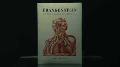 "Frankenstein; or, The Modern
Prometheus", you called it. - Almost Human