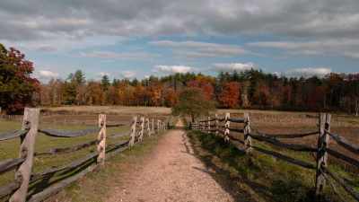 Franklin immediately started
making the colonies' - Benjamin Franklin