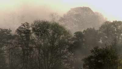 Franklin warned the general
against overconfidence. - Benjamin Franklin