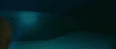 Freaky.
- We just got a report in that's - Giant Spider