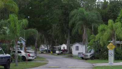 FRED: Elaine moved with my mom - Buried In The Backyard