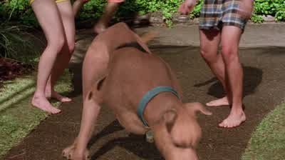 Fred? Yo, the beyotch was like, "What?" And I was like, "Later on!" What up, dog? And... -...dog. -K - Scooby Doo