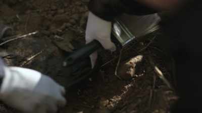 FRED: Then another detective
come out and said, - Buried In The Backyard