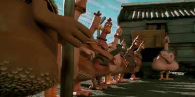 -Freedom.
-[hens gasp] - Chicken Run: Dawn of the Nugget