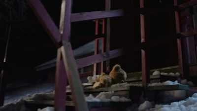 Freedom! Here we come! - Teddy's Christmas