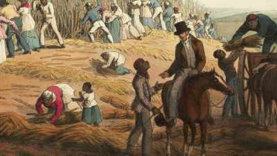 Freedom for Negroes
is a chimera." - Exterminate All the Brutes