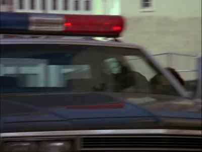 - Freeze!
- E-Excuse me, but- - Murder, She Wrote