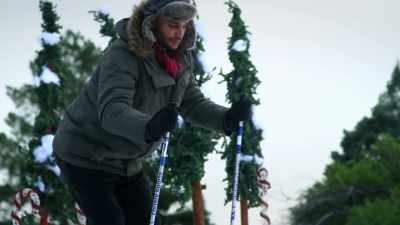 French fry. - The Christmas Sitters