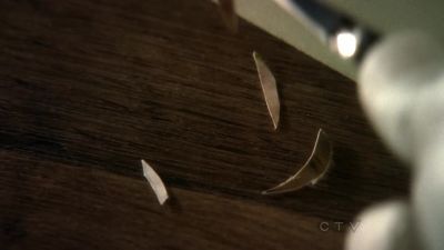 Fresh carvings. - CSI: Crime Scene Investigation