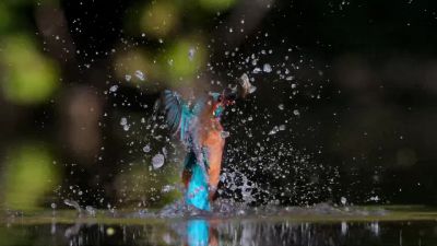 Fresh water. - Our Planet