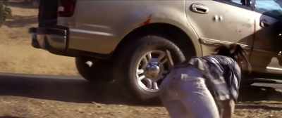 [frightened screaming] - Downrange