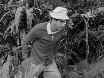 Froggy! - Gilligan's Island