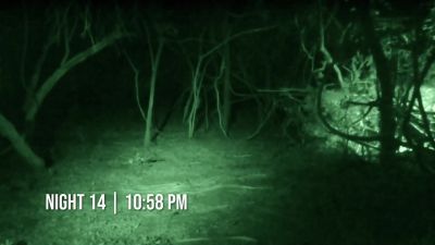         [frogs croaking] - Naked and Afraid