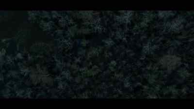[frogs croaking] - Swamp Thing