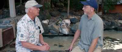 ... from a genetic or molecular perspective, what we find ... - Is Genesis History?